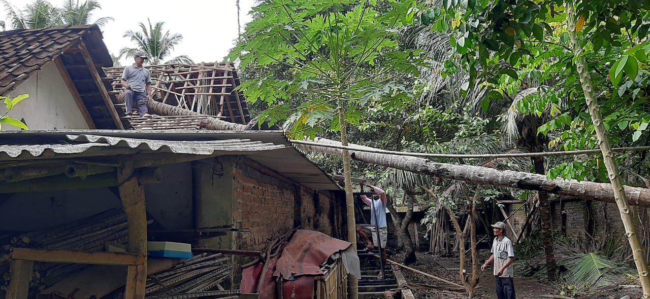 Pohon Tumbang di Padukuhan Gandu Menimpa Rumah Warga